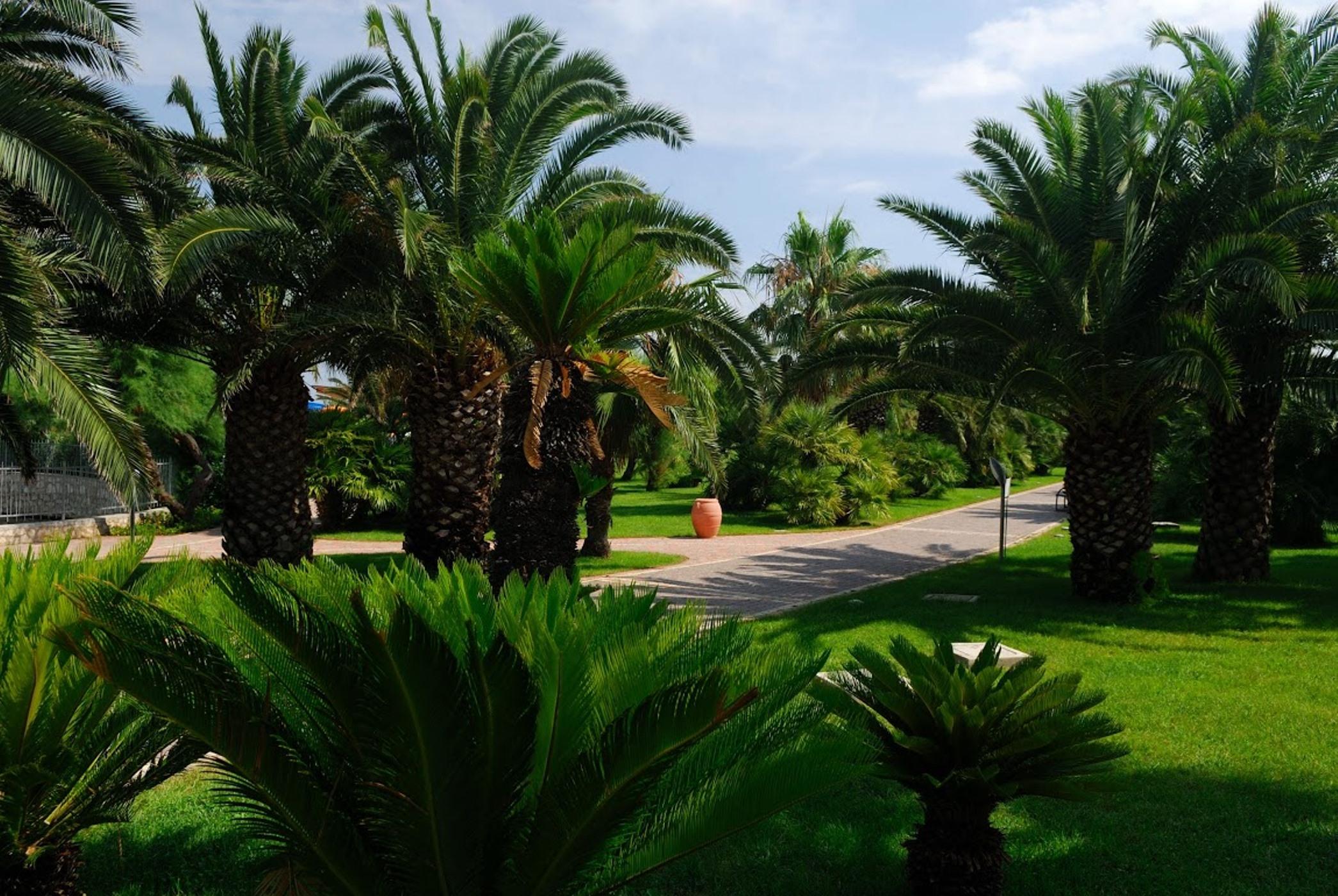Granserena Hotel Torre Canne Exterior photo